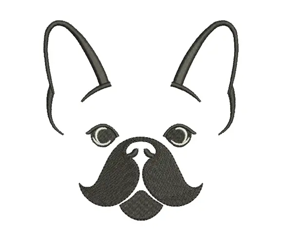 France Bulldog.webp
