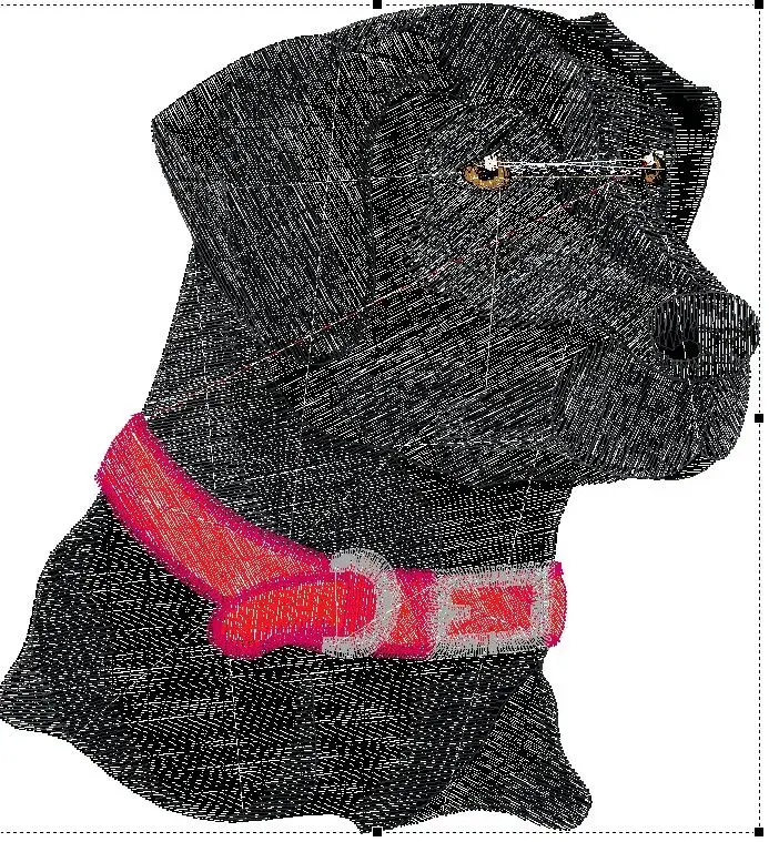Hund_171.webp